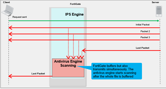 Study diagram